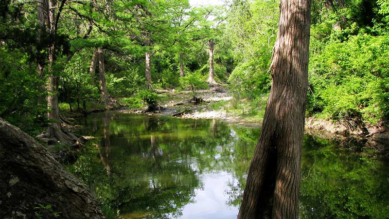 A photo of Cypress Creek in Wimberley, TX