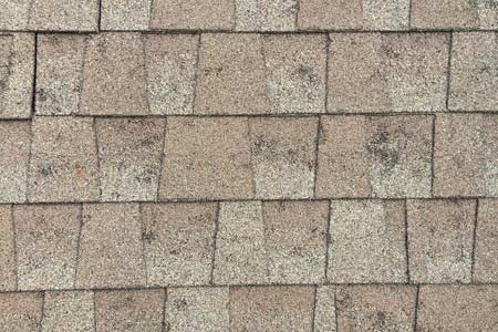 A close-up of damaged shingles