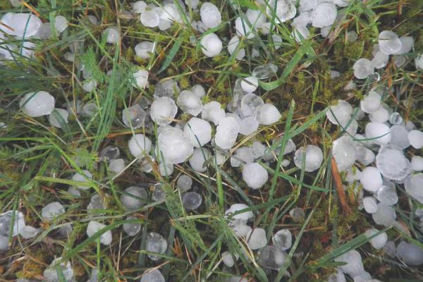 A pile of hail stones covers a homeowner's lawn. roofing San Marcos