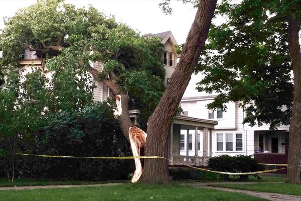 A storm-damaged tree limb sits fallen on a home's roof.