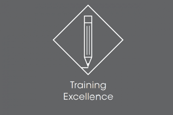 Icon of a pencil with the text "Training Excellence"