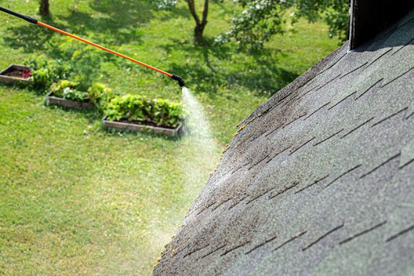 A professional roofer cleaning the black streaks of algae off a roof with a sprayer.