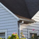 shingles