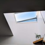 Skylight providing natural light to a plant and a room